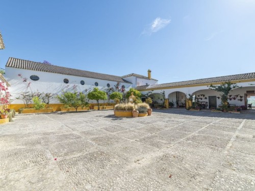 Villa - 13 personer -  - 11630 - Arcos De La Frontera