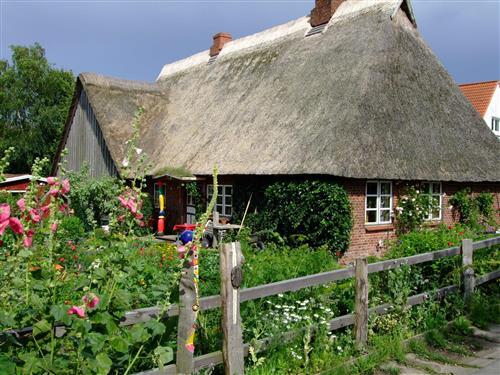 Ferieleilighet - 2 personer -  - Grünlund - 24364 - Holzdorf