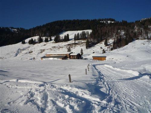 Bauernhof - 4 persons -  - Dorf 4 - 87538 - Balderschwang