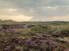 Billede 17 - Udsigt over vand