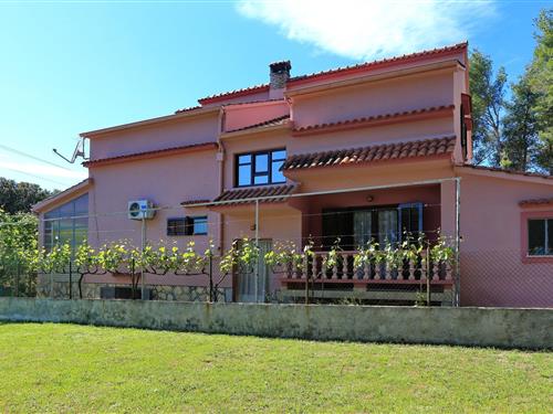 Holiday apartment - 2 persons -  - Bibinje - 23205 - Bibinje