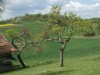 Bild 19
