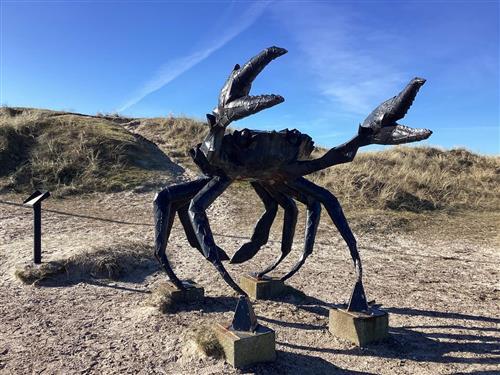 Ferienhaus - 10 Personen -  - Stenhusvej - Slettestrand - 9690 - Fjerritslev