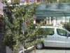 Bild 34