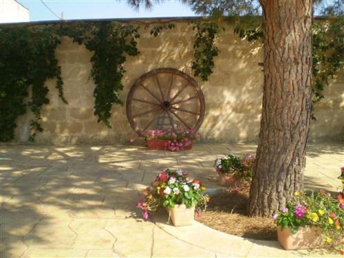 Ferieleilighet - 7 personer -  - Galatina - 73013