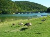 Bild 31 - Ude