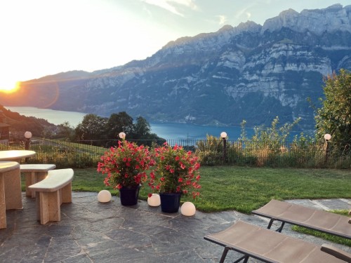 Holiday apartment - 4 persons -  - 8884 - Oberterzen