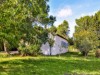 Bilde 1