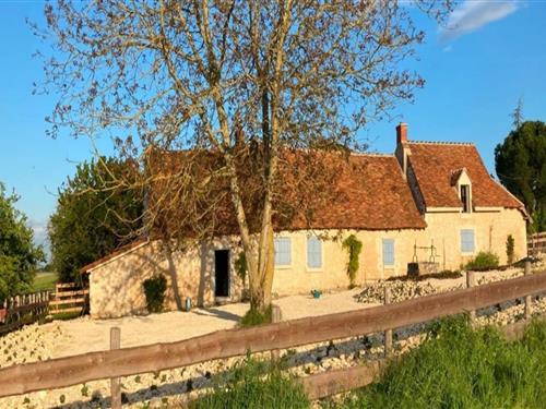 Farmhouse - 9 persons -  - 36500 - Palluau-Sur-Indre