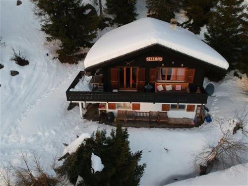 Holiday home - 4 persons -  - Bellwald - 3997