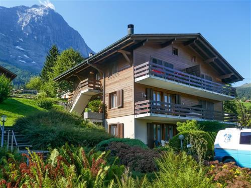 Ferienhaus - 6 Personen -  - Grindelwald - 3818