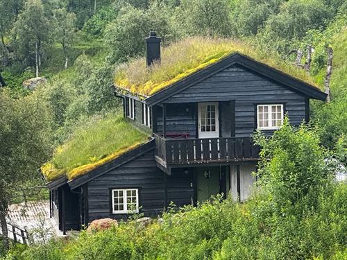 Feriehus - 11 personer -  - Farevassvegen - Ljosland/Åseral - 4540 - Åseral