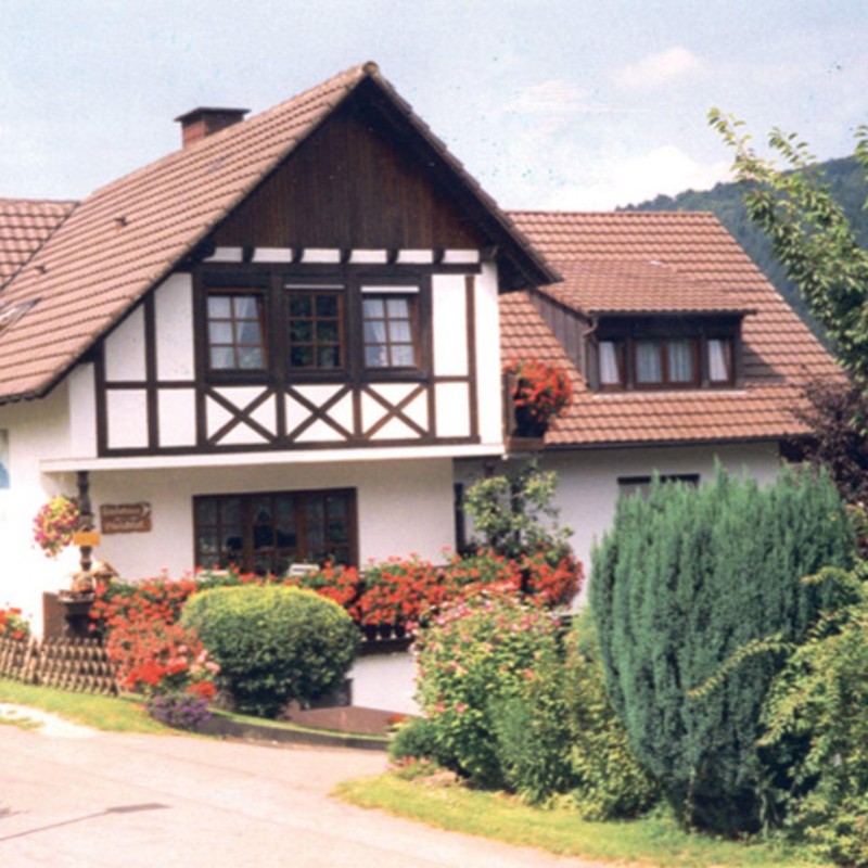  - 2 personer -  - Alte Streitbergstraße - 77955 - Ettenheim / Ettenheimmünster