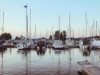 Billede 18
