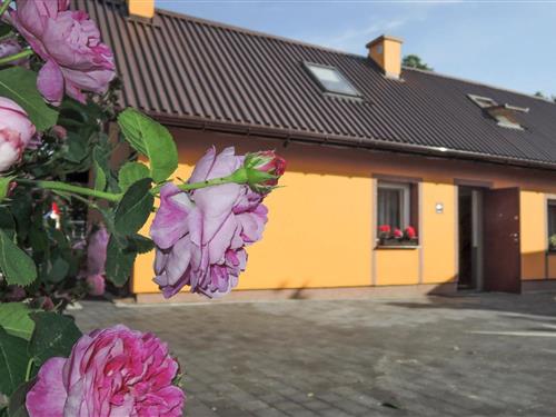 Fritidshus - 6 personer -  - 72-112 - Stepniczka