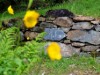Image 26