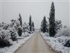 Bilde 5