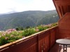Image 22 - Outside