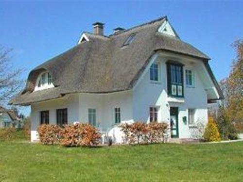 Ferieleilighet - 4 personer -  - Bauernreihe - 18375 - Wieck A. Darß