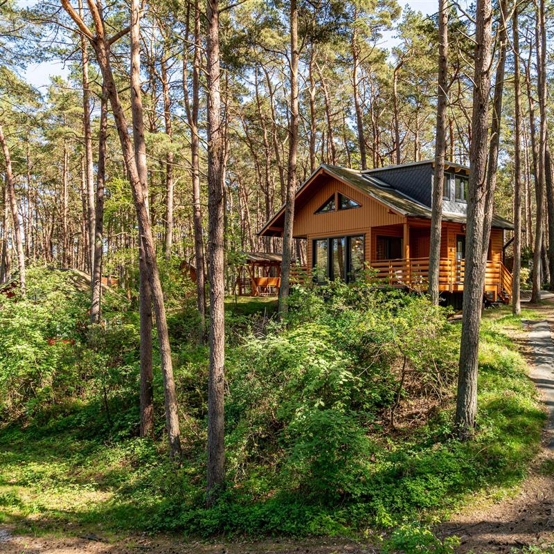 Ferielejlighed - 4 personer -  - Dünenweg - 18586 - Baabe