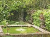 Image 23
