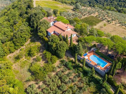 Sommerhus - 10 personer -  - Carmignano - 59015