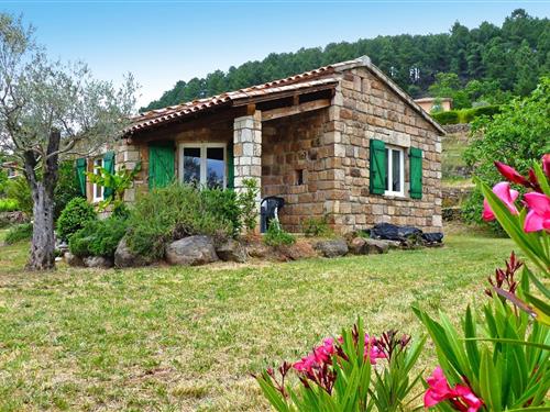 Holiday home - 4 persons -  - 07140 - Chambonas