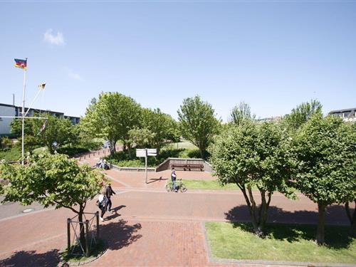 Ferielejlighed - 4 personer -  - Barkhausenstraße - 26465 - Langeoog