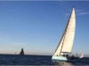 Billede 36