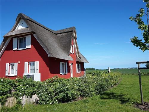 Holiday Home/Apartment - 5 persons -  - De Poeler Drift 63 a - 23968 - Zierow