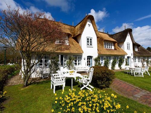 Holiday apartment - 2 persons -  - Strandstraße - 25938 - Nieblum