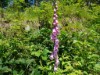 Bild 17