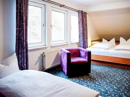 Rom - 4 personer -  - Nuhnetalstr. - 59955 - Winterberg