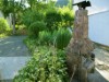 Bild 19