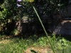 Billede 10