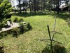 Billede 16