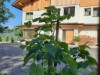 Image 19 - Outside