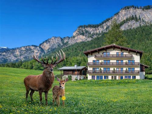 Bondgård - 3 personer -  - Hinterkaiserweg - 6380 - Sankt Johann In Tirol