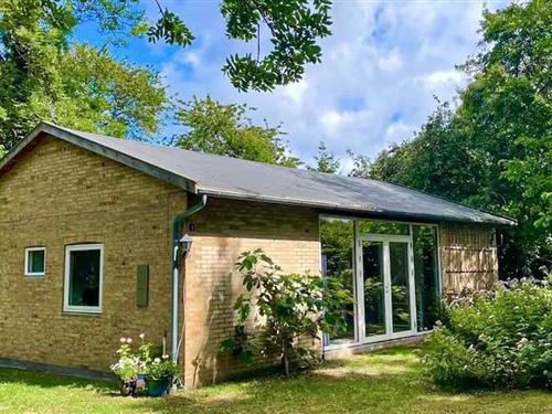 Ferienhaus - 6 Personen -  - Kåsevej - Tejn - 3770 - Allinge