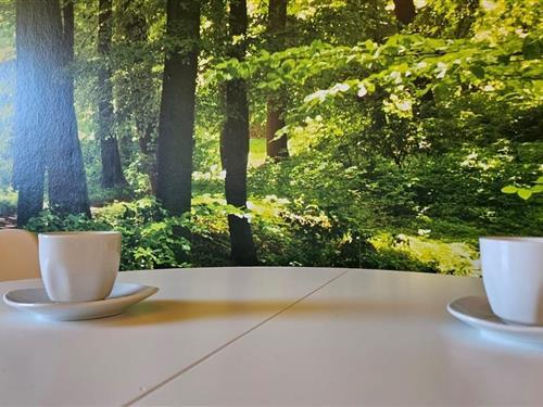 Ferieleilighet - 4 personer -  - Habruck - 3611 - Habruck