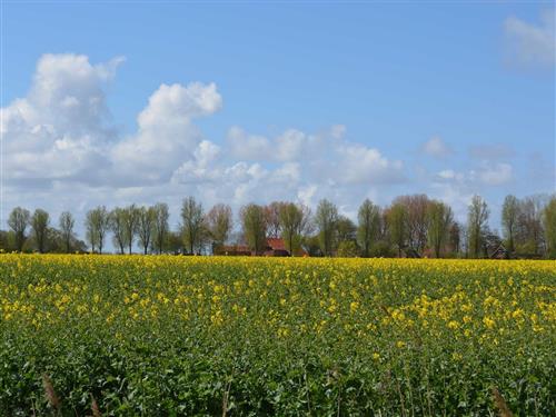 Feriehus / leilighet - 5 personer -  - Kloster Sielmönken - 26736 - Krummhörn / Uttum