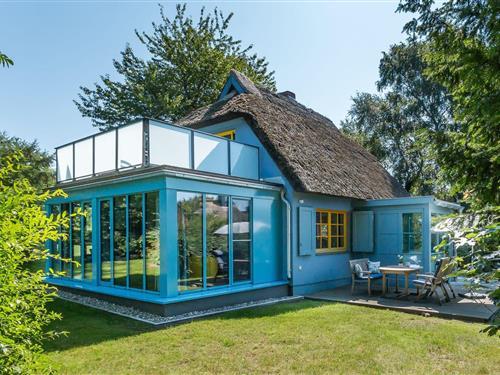 Sommerhus - 4 personer -  - Edmund-Kesting-Weg - 18347 - Ostseebad Ahrenshoop