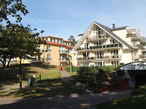 Semesterhus/Semesterlägenhet - 2 personer -  - 18586 - Ostseebad Baabe