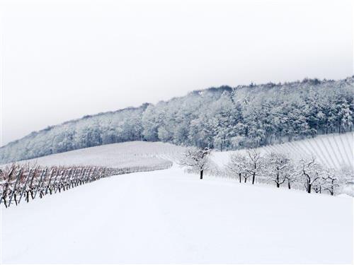 Ferielejlighed - 1 person -  - Hauptstraße - 74626 - Bretzfeld