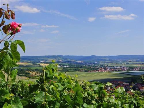 Ferielejlighed - 1 person -  - Hauptstraße - 74626 - Bretzfeld