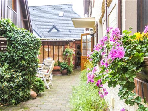 Holiday Home/Apartment - 2 persons -  - Klosterstraße - 18374 - Zingst