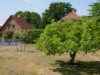 Bild 22