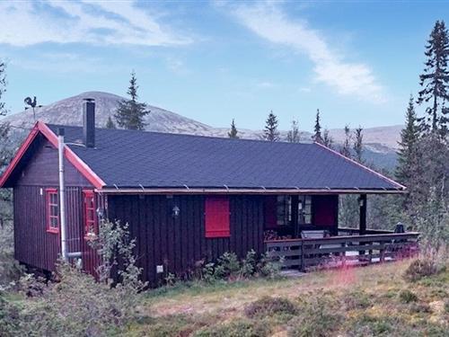 Holiday home - 5 persons -  - Ørdet - Brydal, Tynset - 2500 - Tynset
