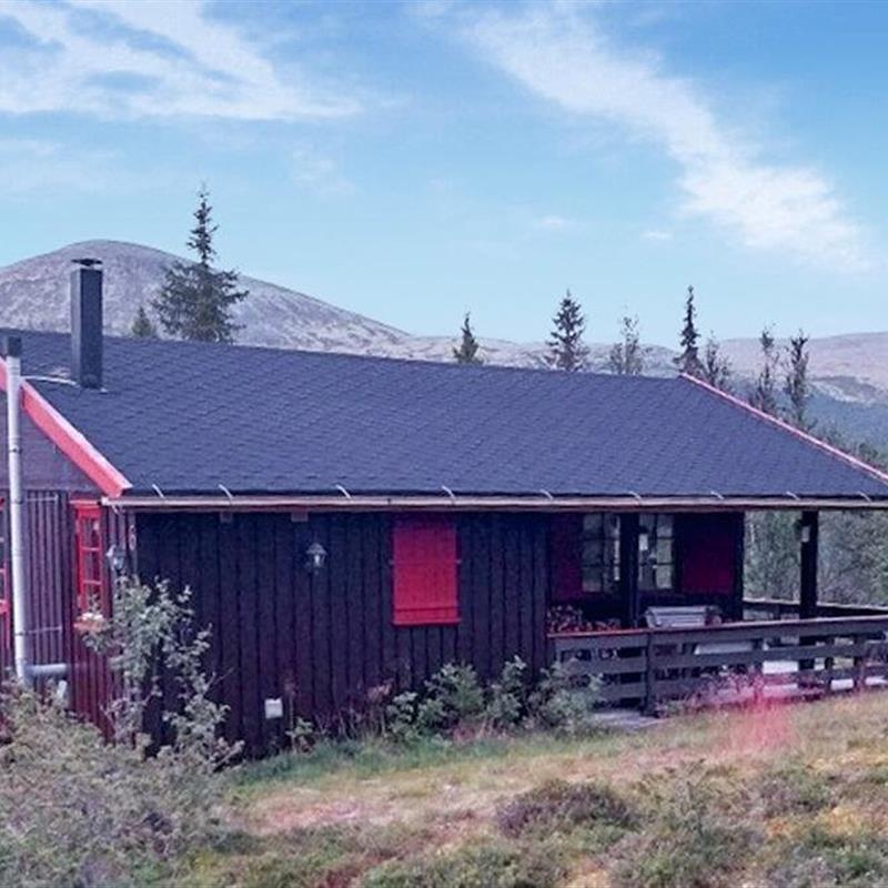 Sommerhus - 5 personer -  - Ørdet - Brydal, Tynset - 2500 - Tynset