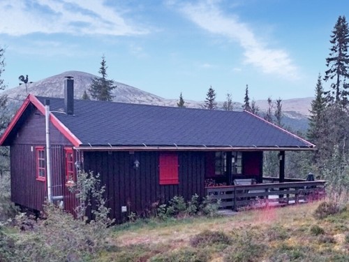 Feriehus - 5 personer -  - Ørdet - Brydal, Tynset - 2500 - Tynset